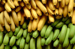 bananas