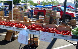 Tomatoes at the Farmer's Market