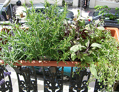 balcony herb garden