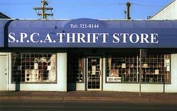 Things You Might Not Know About Your Local Thrift Store