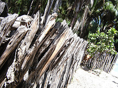 twig fence