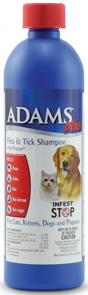 can cat flea shampoo be used on dogs