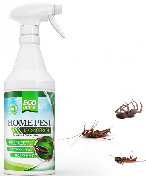 natural insect repellent for home