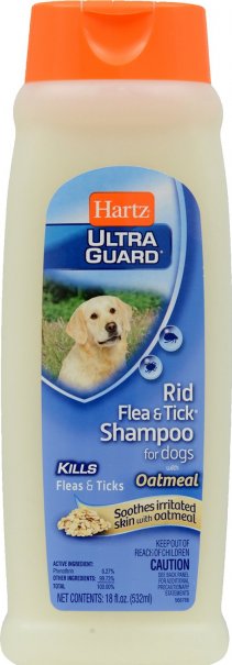 best flea shampoo for small dogs
