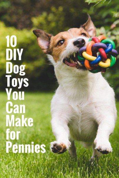 diy dog toys to keep them busy
