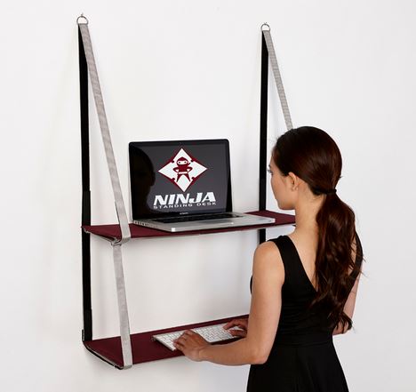 Ninja Standing Desk